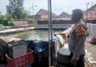 Bhabinkamtibmas-Desa-Singopadu-Tinjau-Kolam-Lele-Warga-Guna-Dukung-Swasembada-Pangan