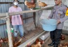 Polsek-Taman-Tinjau-Peternakan-Ayam-Petelur-Warga-Trosobo,-Wujudkan-Swasembada-Pangan-Mandiri