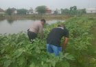 Bhabinkamtibmas-Permisan-Bersama-Warga-Inventarisasi-Kendala-Pengelolaan-Lahan-Pekarangan-untuk-Dukung-Ketahanan-Pangan