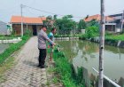Bhabinkamtibmas-dan-Bumdes-Bangsri-Dukung-Ketahanan-Pangan-Lewat-Budidaya-Ikan-Patin-dan-Nila