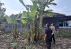 Warga-Desa-Popoh-Manfaatkan-Lahan-Kosong-untuk-Tanaman-Pisang,-Dukung-Program-Ketahanan-Pangan-Bergizi