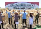 Komitmen-Wujudkan-Ketahanan-Pangan-Nasional,-Kapolda-Jatim-Bersama-Forkopimda-Banyuwangi-Gelar-Panen-Jagung-Serentak-1.446-Ton