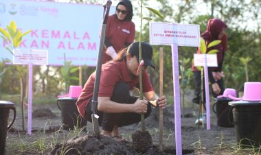 Bhayangkari-Peduli,-Ketua-Umum-Bhayangkari-Melepas-700-Tukik-danTanam-Mangrove-di-Pantai-Cemara-Banyuwangi