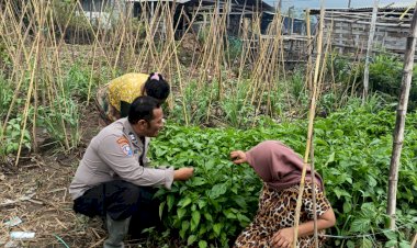 Polsek-Jabon-bersama-Warga-Bangunsari-Siapkan-Lahan-Produktif-Wujudkan-Ketahanan-Pangan