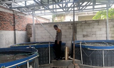 Kapolsek-Gedangan-Optimalkan-Peran-Bhabinkamtibmas-Kolaborasi-Warga-Sukseskan-Ketahanan-Pangan-Lewat-Budidaya-Ikan-Lele