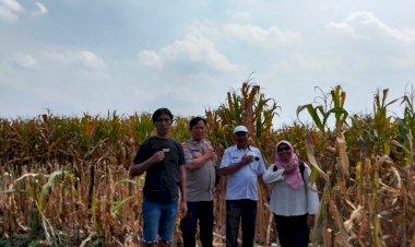 Kanit-Binmas-Polsek-Prambon-bersama-Perangkat-Desa-Silaturahmi-ke-Petani-Jagung,-Dukung-Ketahanan-Pangan
