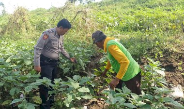 Bhabinkamtibmas-Desa-Permisan-Tinjau-Lahan-Ketahanan-Pangan,-Dorong-Warga-Manfaatkan-Pekarangan-untuk-Sayuran