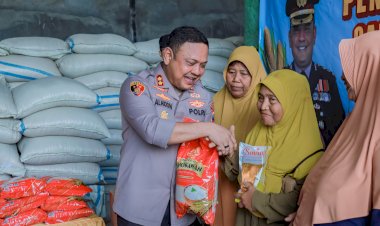 Dukung-Ketahanan-Pangan,-Polres-Jember-Gandeng-Bulog-Serap-Hasil-Panen-Jagung-Petani-Puger