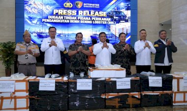 Polri-Ungkap-Jaringan-Penyelundupan-Baby-Lobster-Lintas-Negara,-Dua-Pelaku-Ditangkap