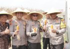 Kapolda-Jawa-Timur-dan-Forkopimda-Panen-Raya-Jagung-di-Prambon-Sidoarjo