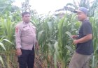 Polsek-Tanggulangin-Masifkan-Patroli-Desa,-Dukung-Program-Ketahanan-Pangan