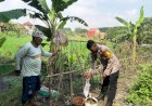 Bhabinkamtibmas-Semambung-Bantu-Petani-Wujudkan-Ketahanan-Pangan-Polresta-Sidoarjo