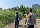 Polresta-Sidoarjo-Gelorakan-Swasembada-Pangan-Melalui-Program-P2B