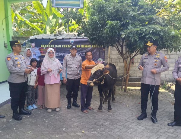Kapolres Jombang Serahkan Sapi Kurban dari Kapolda Jatim untuk Dua Ponpes